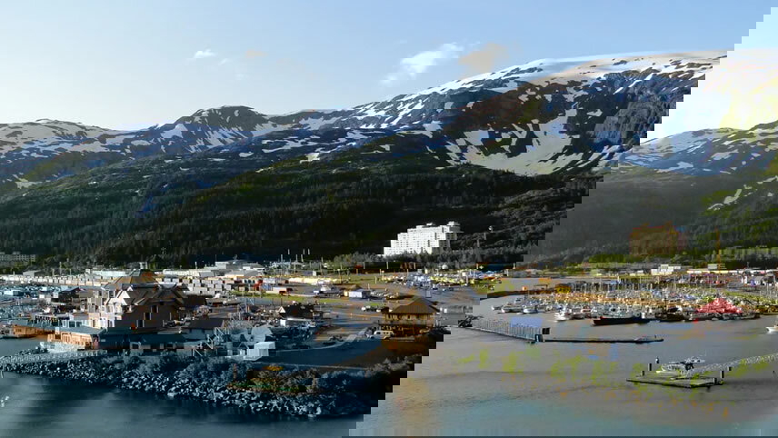 Cherry Blossom Bliss