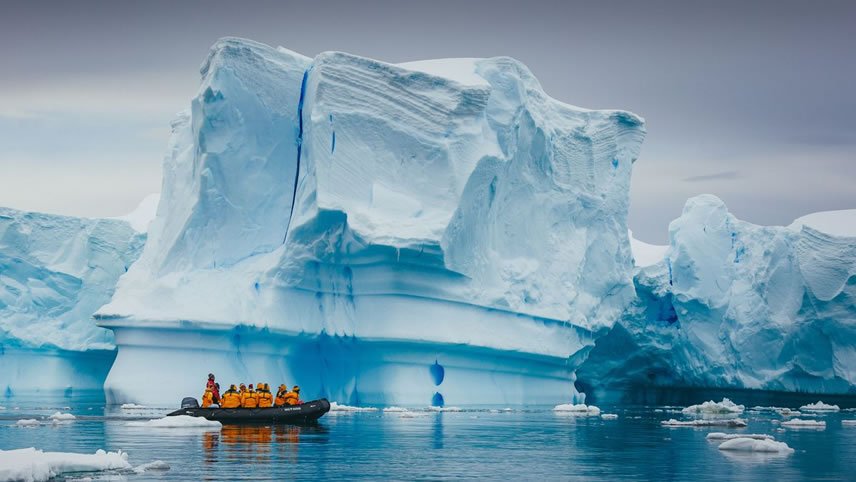 The Emperor Penguins of Weddell Sea