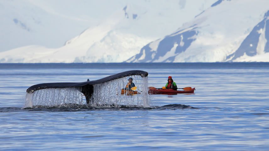 Ultimate Journey: Patagonia, Argentina, Brazil & Antarctica - Cruise & Land Journey