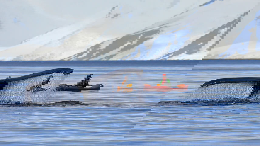 Ultimate Journey: Patagonia, Argentina, Brazil & Antarctica - Cruise & Land Journey