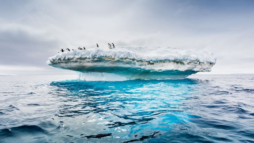 King George Island to Puerto Williams