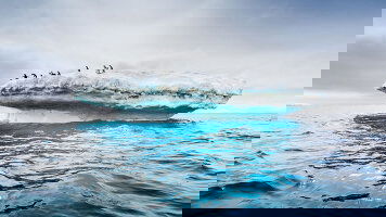 HX Antarctic Expeditions