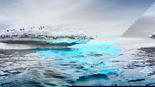 HX Antarctic Expeditions