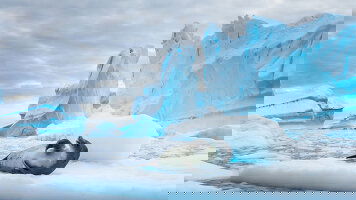 16 Day Antarctica in Depth (Scenic)