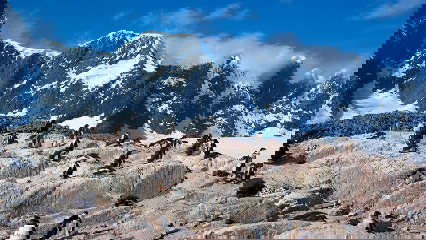 South America & Antarctica