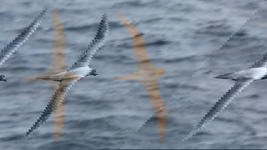 Crossing The Drake Passage