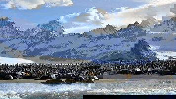 11 Day Antarctica: The White Continent (Collette)