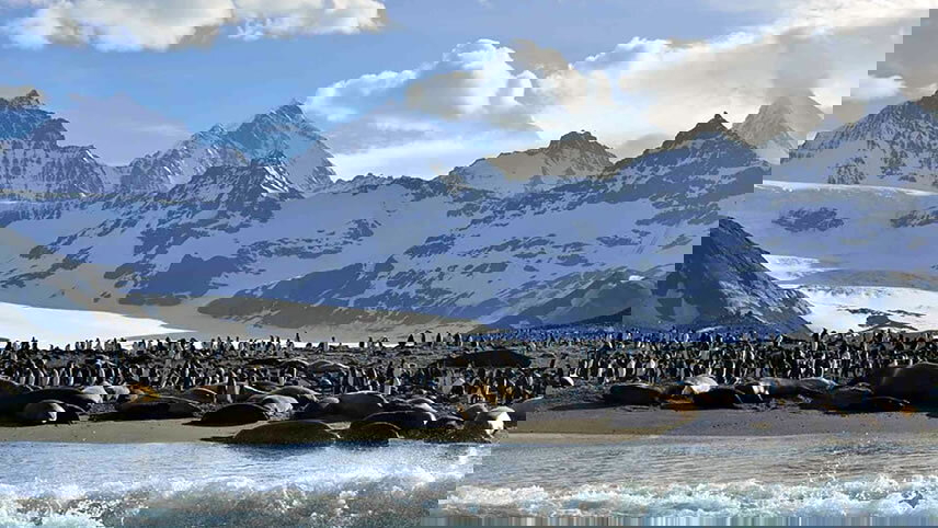 Antarctica: The White Continent