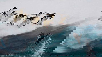 66 Day Grand South America Mosaic (Regent Seven Seas)