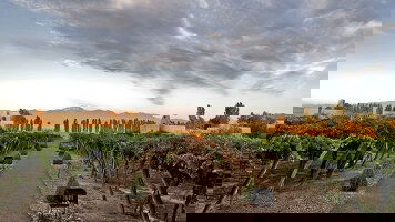 9 Day Essential South America (Collette)