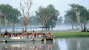 Yellow Water Billabong