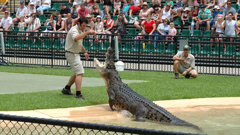 Australia Zoo, Queensland