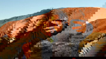 18-30's Trips Cruises