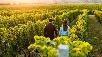 10 Day Australia Wine Cruise (Celebrity Cruises)
