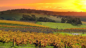 11 Day Melbourne and the Murray River Discovery (Travelmarvel)