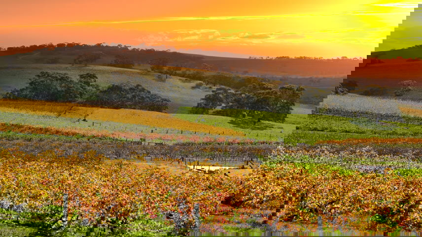 Discover Adelaide and Sydney