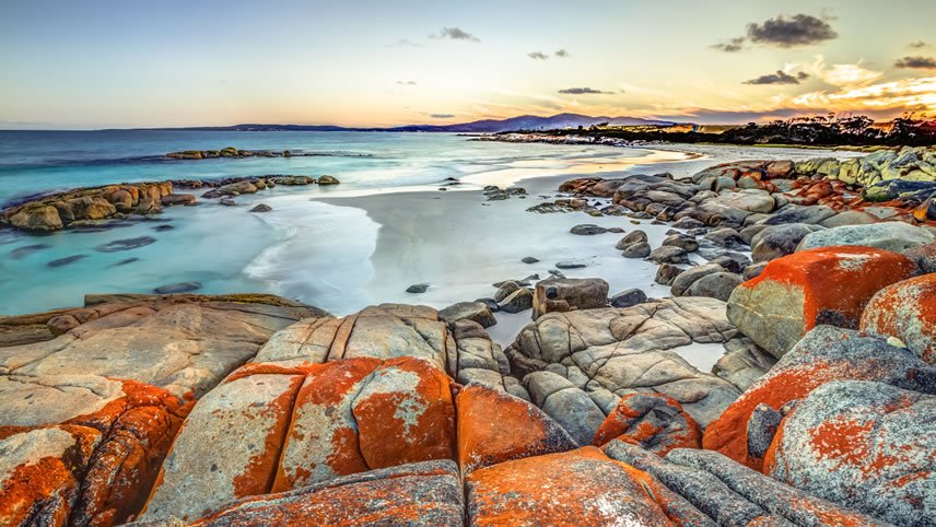 Walk the Bay of Fires