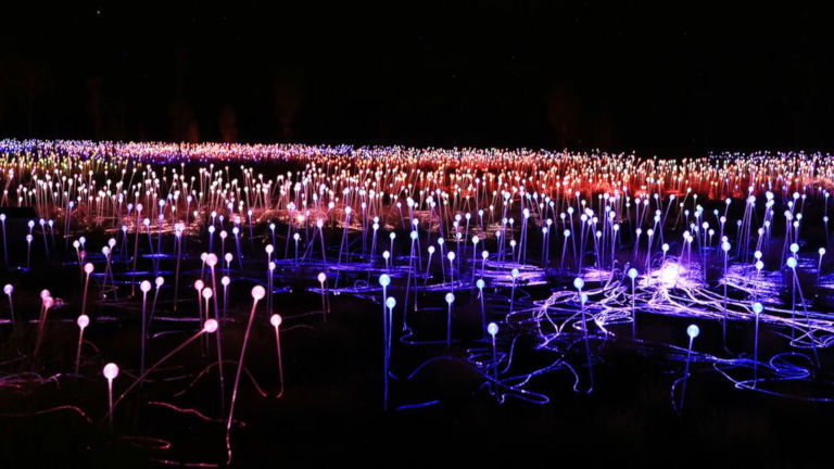 Ignite your Northern Territory Tour with the Field of Light