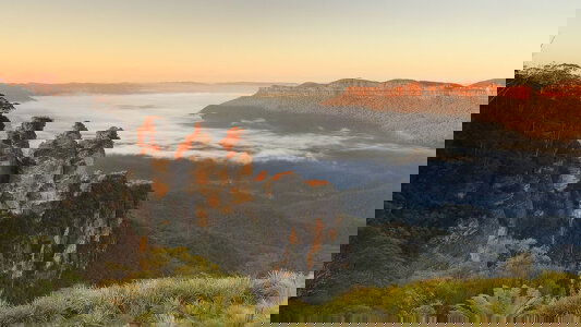 New South Wales Tours Trips)