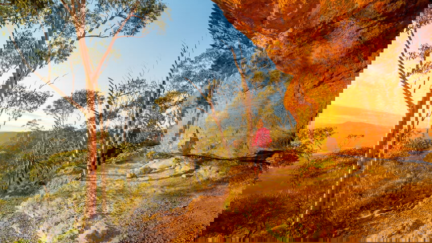 Natural and Gourmet Wonders of NSW