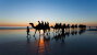 Broome