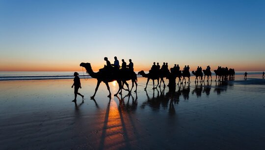 Sunset Camel Ride on Cable Beach