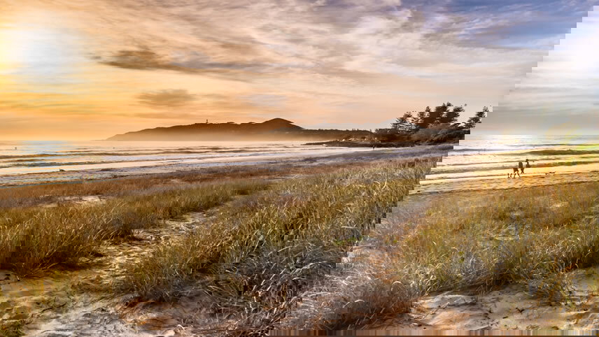 Sydney to Brisbane Experience: Bushwalks & Surfing