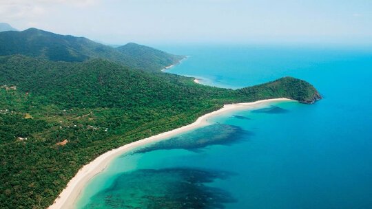 Explore Cape Tribulation