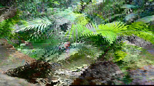 Introducing Intrepid Retreats: Authentic Aussie Getaways Showcasing Your Backyard