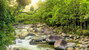 Cairns