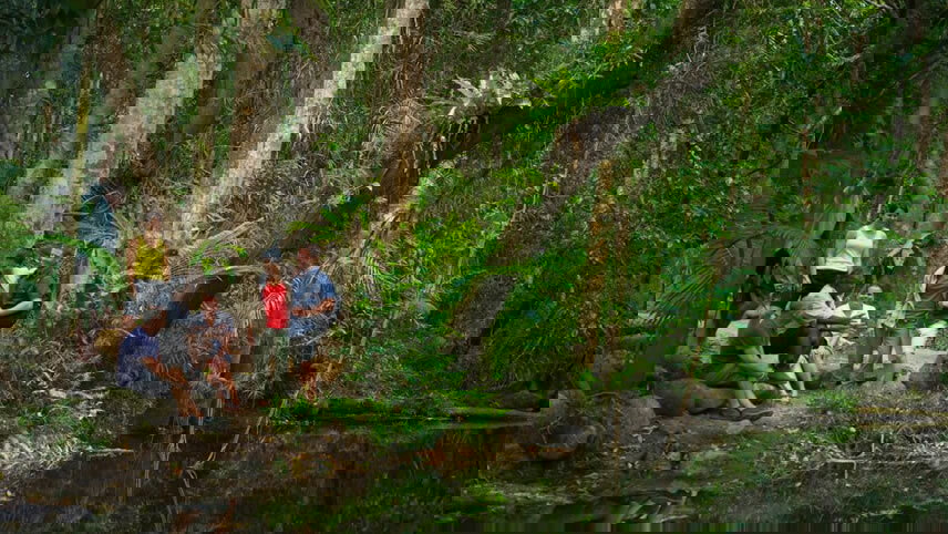 Cape Tribulation and Cooktown Wanderer