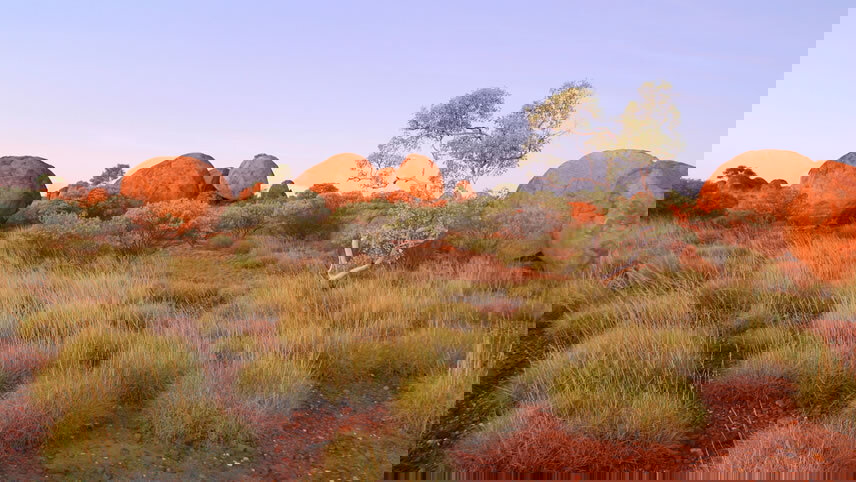 Central Australian Discovery