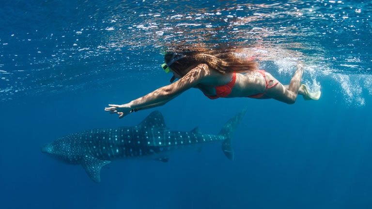 Australian Odyssey: Western Australia & The Albrolhos Islands