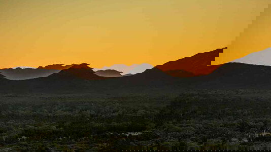 Bunnik Australia Tours