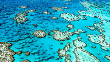 Snorkel the Great Barrier Reef