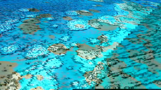 P&O Australia Cruises