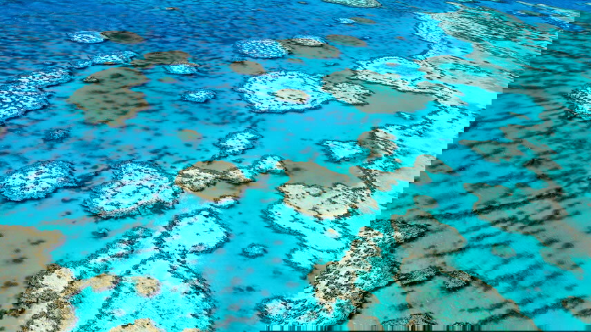 Whitsundays & Great Barrier