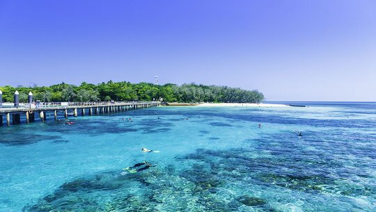 Snorkel the Great Barrier Reef