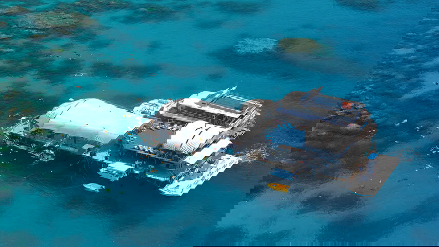 Discovery Down Under