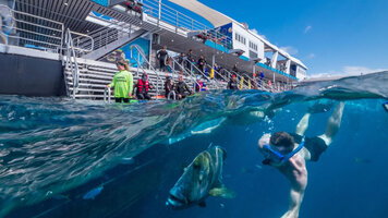 10 Day Queensland with Great Barrier Reef (Princess)