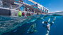 Great Barrier Reef