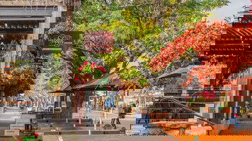 5 Day Heritage, Art & Rose Gardens of South Australia (APT)