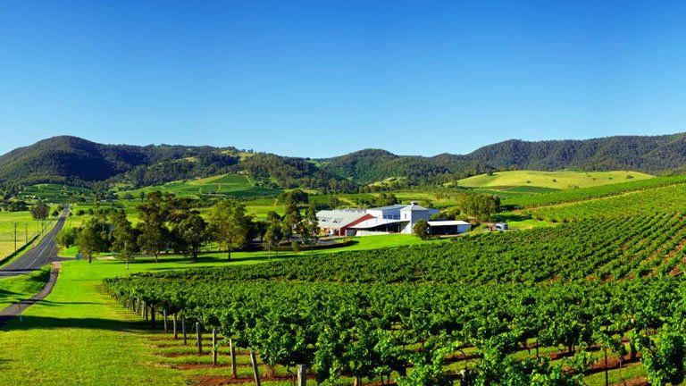 NSW Wineries & Countryside
