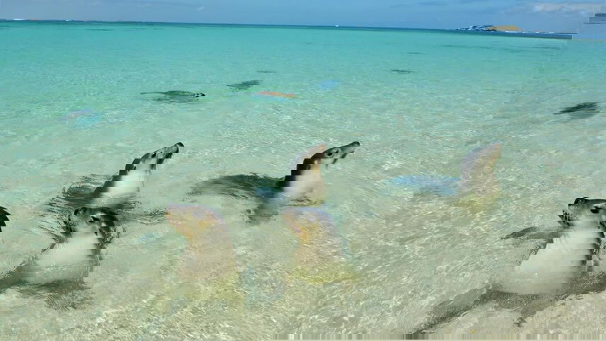 Jurien Bay Marine Park