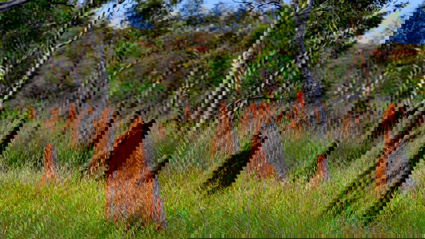 Kakadu & Arnhem Land