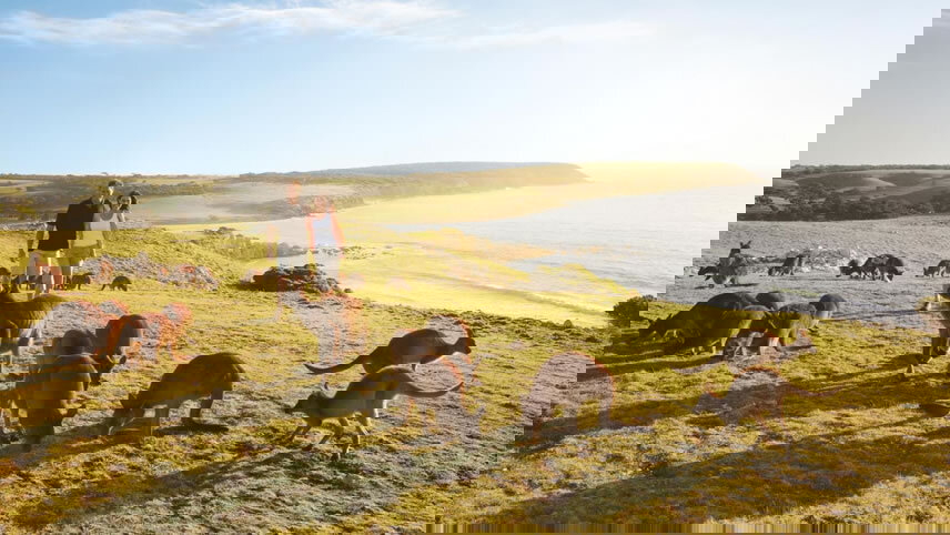 Australia Wine Cruise