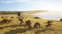 Kangaroo Island
