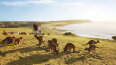 22 Day Dingoes & Dragons (Regent Seven Seas)