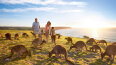 25 Day World Cruise: Australia, Bali Discovery & Singapore (Seabourn)
