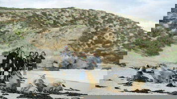 38 Day World Cruise: Australia Circumnavigation (Seabourn)